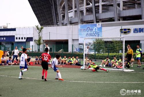 株洲今天爆料最新消息,揭秘今日重大事件内幕